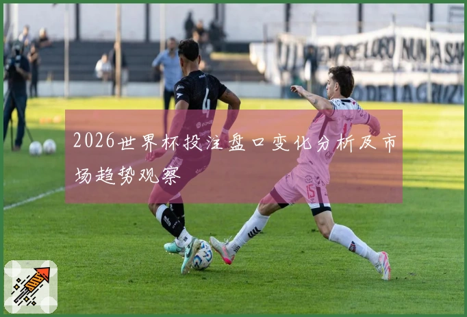 2026世界杯投注盘口变化分析及市场趋势观察