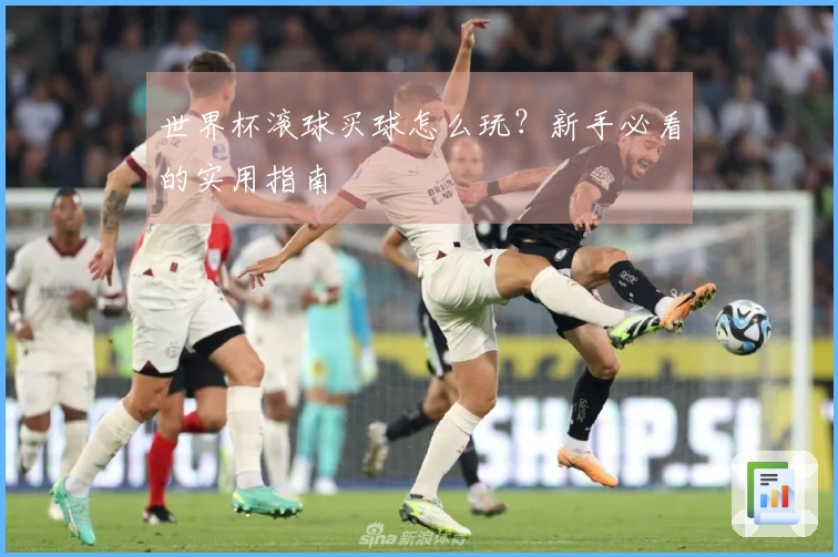 世界杯滚球买球怎么玩？新手必看的实用指南