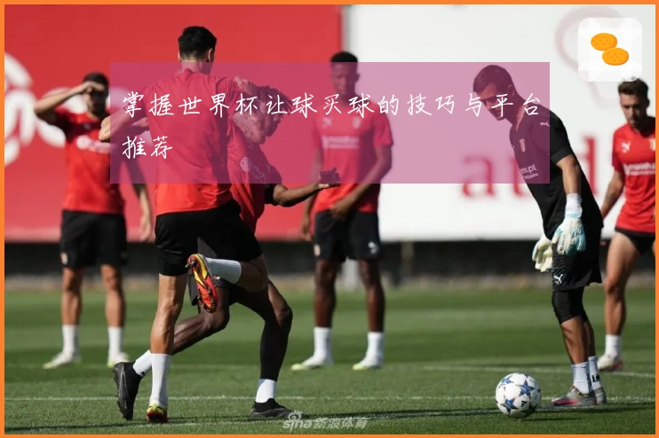 掌握世界杯让球买球的技巧与平台推荐